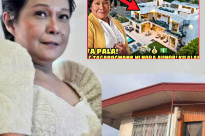 REVEALED: Nora Aunor’s Hidden Fortune SHOCKS the Nation—Millions in Assets, Secret Investments, and Lavish Properties Left Behind for Her Family Stun Even Closest Friends! /dn