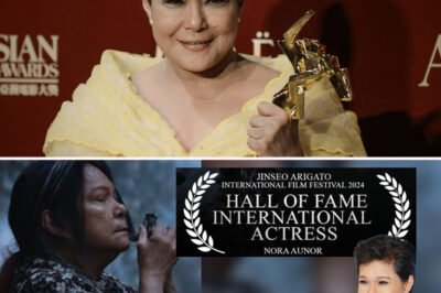 THE REAL REASON WHY NORA AUNOR WAS DENIED THE NATIONAL ARTIST TITLE THE FIRST TIME – A SHOCKING TRUTH FINALLY REVEALED!