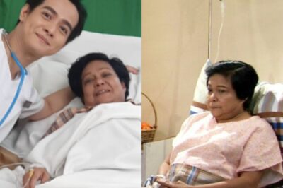 Heartbreaking Last Moments: Nora Aunor’s Final Hours Before Passing Revealed /dn
