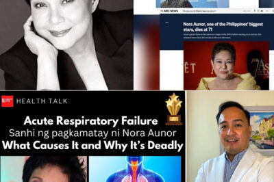 Acute Respiratory Failure: The Silent Killer Behind the Death of Nora Aunor. Understanding the Illness That Took the Life of the Philippines’ National Treasure  /dn