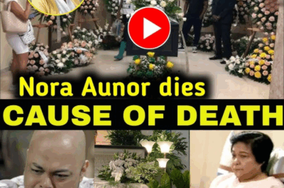 LISTAHAN NG MGA KA-AWAY NI NORA AUNOR: Mga Artista na Tahimik na Nagtampo sa Superstar /đh