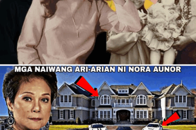 REVEALED: The Billion-Dollar Heir of Nora Aunor — You Won’t Believe Who Inherited Her Fortune!