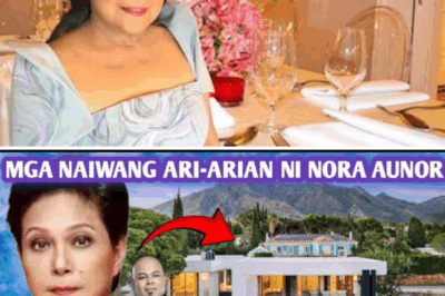 JUST HOW RICH WAS NORA AUNOR? Superstar’s Massive Estate Revealed—A Final Gift to Her Family and Legacy /lo