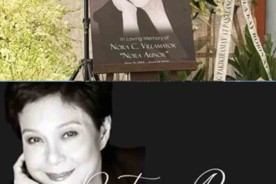 “Heartbreaking: The one who took the life of national treasure Nora Aunor is this — leaving everyone in shock. Who is behind it?”/th