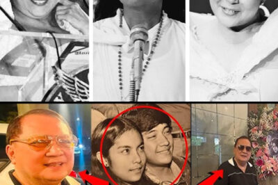 Nora Aunor’s Fans Are Shocked! Her Long-Lost Ex-Lover Suddenly Appears on the Hill — Gazes and Gossip Spread (Details)/hi