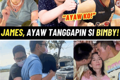 Kris Aquino Wants James Yap to Take Bimby — But Did He Just REFUSE His Own Son?
