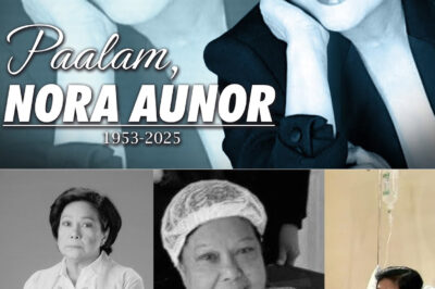 SHOCKING REVEAL: NORA AUNOR’S FINAL MOMENTS EXPOSED — THE TRUTH BEHIND HER SUDDEN DEATH AT 71 WILL BREAK YOUR HEART /dn