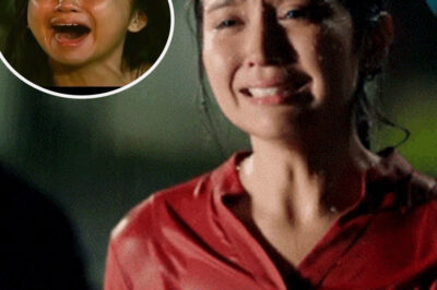 “I Never Thought I’d Say This…” — Kathryn Bernardo’s Tearful Confession in a Leaked Interview Shocks Fans Worldwide /dn