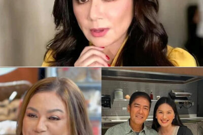 FAMILY WAR ERUPTS: DINA BONNEVIE & DANICA SOTTO FURIOUS OVER SHOCKING ACCUSATION AGAINST PAULEEN LUNA — “THIS HAS GONE TOO FAR!” /dn