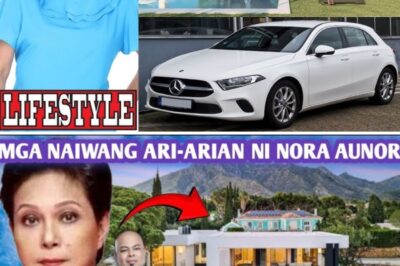 UNBELIEVABLE! Nora Aunor’s Hidden Billions Finally Revealed After Her Passing – Even Her Closest Family Had No Idea How Massive Her Secret Fortune Was! /dn