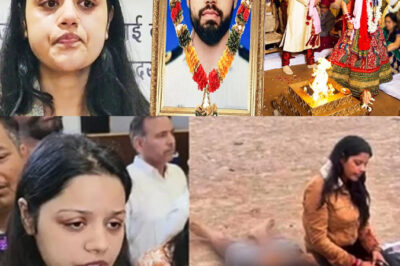 After the final farewell, Himanshi took a big decision about second marriage..?! Vinay Narwal