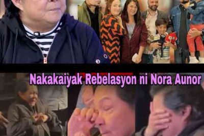 VIDEO: Nora Aunor breaks into tears as all her children unexpectedly attend her 70th birthday party — then turns angry after learning their true INTENTION/hi