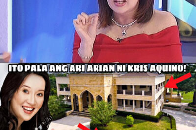 BREAKING NEWS: Kris Aquino reveals who will inherit her legacy – Narito ang alam natin tungkol sa mga natitirang asset ni Kris pagkatapos ng kanyang karamdaman/hi