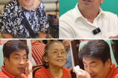 Lolit Solis disappointed with Bong Revilla Jr and Willie Revillame’s vote /dn