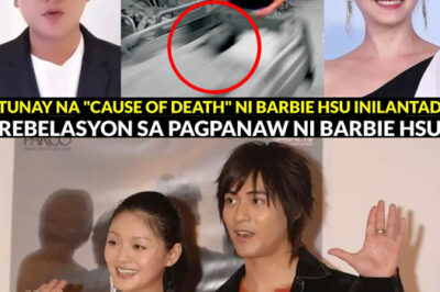 Ken Chu Speaks Out About the Passing of Barbie Hsu, Dee Hsu Reveals Cause of Passing/hi
