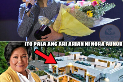 So it’s them! The HEIR of Nora Aunor | This is their property! Wow, they’re incredibly wealthy!/hi