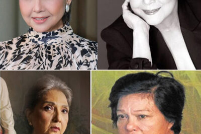 Chanda Romero Reveals Shocking Truth About Superstar Nora Aunor – The Truth Hidden for Decades Shocks the Nation…/hi