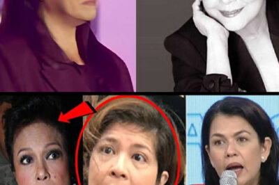 The Mystery Behind Marilyn Villamayor’s Absence at Nora Aunor’s Wake: Bakit Hindi Dumalo ang Pinsan ni Lotlot De Leon at ang Pamangkin ni Nora?/hi