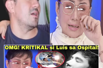 shock: Luis Manzano was taken to hospital in critical condition! Vilma Santos could not bear what had happened!”/hi
