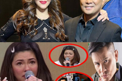 ANG KATOTOHANAN tungkol sa nakakabahalang alingawngaw ng RELATIONSHIP nina OGIE ALCASID at REGINE VELASQUEZ! Hanapin!/hi