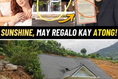 SHOCK: Atong Ang Reveals His New Dream House with Sunshine Cruz! A Love Nest in the Making…?/hi