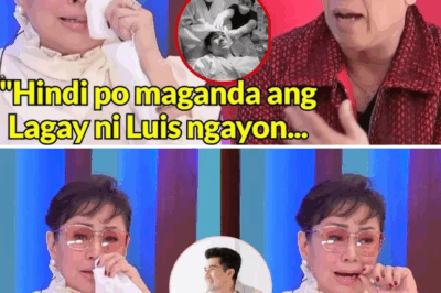 VILMA SANTOS ASKS FOR PRAYERS FOR HER SON LUIS MANZANO AFTER HE WAS RUSHED TO THE HOSPITAL!