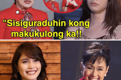 Vilma Santos Files Shocking Legal Case Against Jessy Mendiola — Scandal Erupts, Fans in Uproar! The Unexpected Clash That’s Rocking the Entertainment World — What Really Happened? Legal Battle Heats Up as Drama Unfolds in the Spotlight!