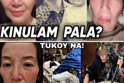 KINIKILIG NA REVELATION: Nadiskubre na sa wakas ang akusado ng pagmumura kay Kris Aquino, hindi makapaniwala ang mga netizens nang malaman nila ang pagkakakilanlan ng misteryosong taong ito, ito pala…! ❗️😱