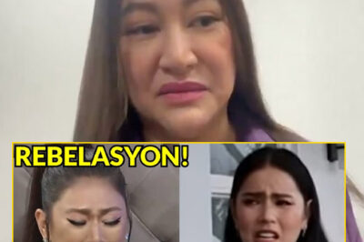 OMG! Si Rufa Mae Quinto ay Naghulog ng Bombshell Tungkol kay Neri Naig Miranda — Nakagugulat na Pagbubunyag!/hi
