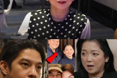 Harlene Bautista Officially Breaks Her Silence About The Real Reason Behind Her Split From Romnick Sarmenta/hi