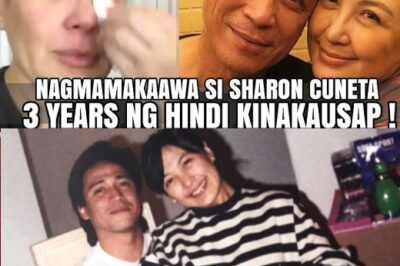 Sharon Cuneta is moved by grief as her beloved brother passes away: “I had a premonition”/hi