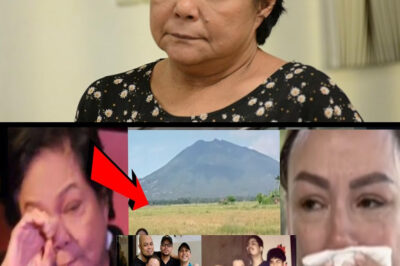 Nora Aunor’s Alleged Massive Land Inheritance in Bicol Sparks Online Frenzy—Truth or Legacy?/hi