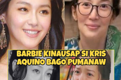 Barbie or Sanchai of Meteor Garden Spoke to Kris Aquino Before Her Passing! The Heartbreaking Final Moments/ hi