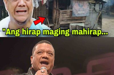 Mitoy Yonting, Nakakaawa ang Sitwasyon Ngayon, Nakatira sa Tagpi-tagping Bahay!/th