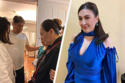 Sharon Cuneta Is Excited and Happy About What She Just Accomplished While in the US — Is This the Real Reason She Wanted to Move to America?/hi