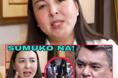 SHOCKING REVELATION: Marjorie Barretto boldly confronts and makes bold statement to the public after being arrested by NBI!/hi