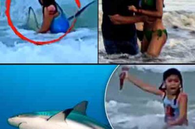 Oh parents, what are you doing? A 6-year-old girl struggling alone with a shark by the shore. So heartbreaking!!!!!!!!/th