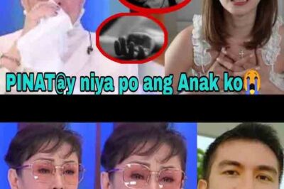 VILMA SANTOS MAY REBELASYON SA TOTOONG DAHILAN NG PAG PANAW NG ANAK NA SI LUIS MANZANO!/th