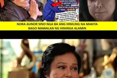 SHOCKING: NORA AUNOR – FINAL WISH BEFORE HER DEATH REVEALED: THESE ARE THE PEOPLE SHE WANTED TO SEE ONE LAST TIME/th
