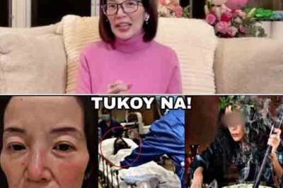 KINIKILIG NA REVELATION: Nadiskubre na sa wakas ang akusado ng pagmumura kay Kris Aquino, hindi makapaniwala ang mga netizens nang malaman nila ang pagkakakilanlan ng misteryosong taong ito, ito pala…! /th