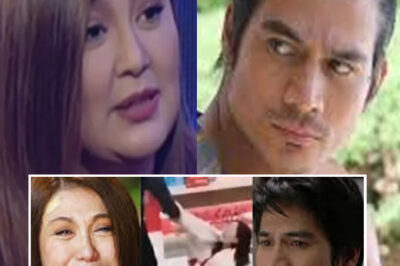 SHOCK: Sharon Cuneta is said to be angry with Piolo Pascual after going public with his relationship with Shaina Magdayao. and has been acting insane./hi