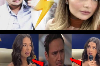 SHOWBIZ BUZZ: John Estrada, hindi umano Sang-ayon kay Priscilla Meirelles na Gumawa ng mga Romantikong Eksena Pagkatapos ng VivaMax Signing/hi