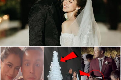 VIP on a Budget? Toni Gonzaga Caught Eating on Paper Plate at Zeinab Harake’s Luxe Wedding – Netizens React to ‘₱2M Cake vs. Paper Plate’ Scene!/hi