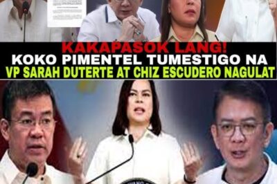 JUST IN: Senator Koko Pimentel TESTIFIED in Surprise Senate Hearing — VP Sara Duterte at Chiz Escudero, Nagulat sa Bombshell Statement! ‘Ito ang Nagbabago ng Lahat,’ Pinagmulan na Claim Pagkatapos ng Hindi Inaasahang Pagliko …/th