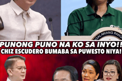 SHOCKING! CHIZ ESCUDERO RESIGNS Amid Explosive Scandal — Power Crumbling, Who’s Next to Fall? Public Outrage, Secret Alliances, and Senate in Chaos — The Truth Behind His Sudden Resignation Will Leave You Speechless!