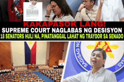 JUST IN! SUPREME COURT DROPS BOMBSHELL — 18 SENATORS REMOVED FROM OFFICE, VP SARA DUTERTE IN TEARS OVER SHOCKING RULING! Unprecedented political purge stuns the nation — Is this the beginning of a full-scale government shake-up?