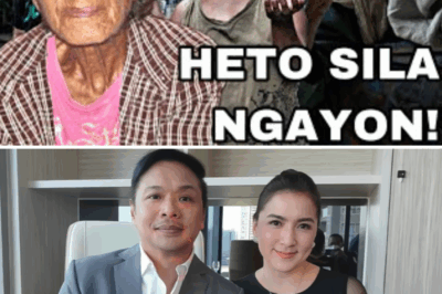 FLASHBACK SHOCKER! The most famous bold stars of the past — you won’t believe how they’ve transformed now!
