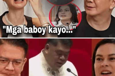 BREAKING! Heart Evangelista Just Released a Video Capturing Moments of Chiz Escudero and Vice President Sara Duterte! What’s Happening?!