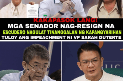 JUST IN: Multiple Philippine Senators Resign in Sudden Political Storm — Chiz Escudero Caught Off Guard in Live Senate Session! What Triggered the Mass Exit? The Truth Is More Explosive Than Expected!