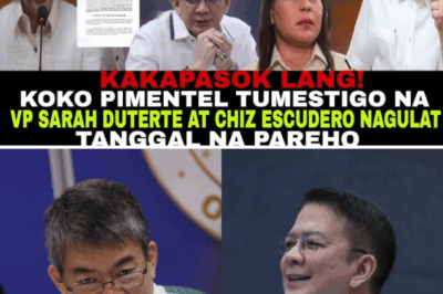 JUST IN: Senator Koko Pimentel TESTIFIES in Surprise Senate Hearing — VP Sara Duterte and Chiz Escudero Reportedly Shocked by Bombshell Statement! ‘This Changes Everything,’ Source Claims After Unexpected Turn
